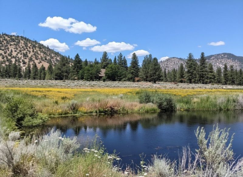 Pine Grove, CA