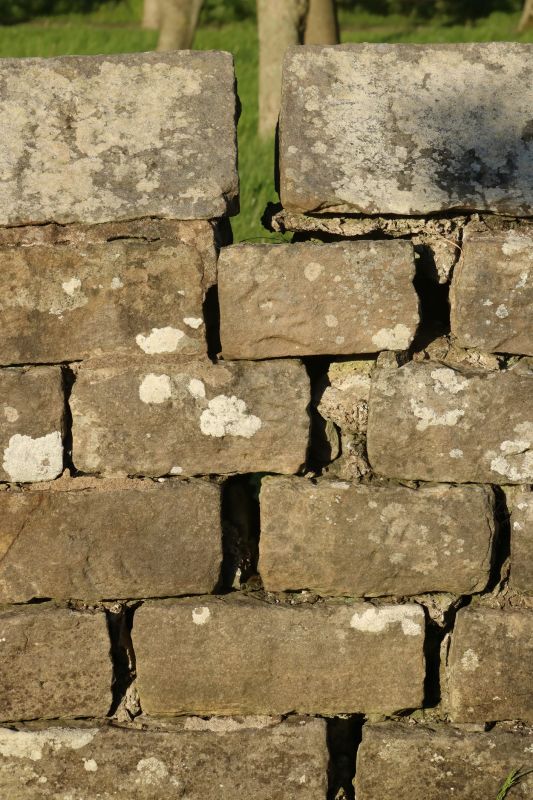 Stone Wall Repair in Newcastle, CA